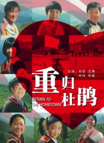 一区二区视频在线观看高清视频在线